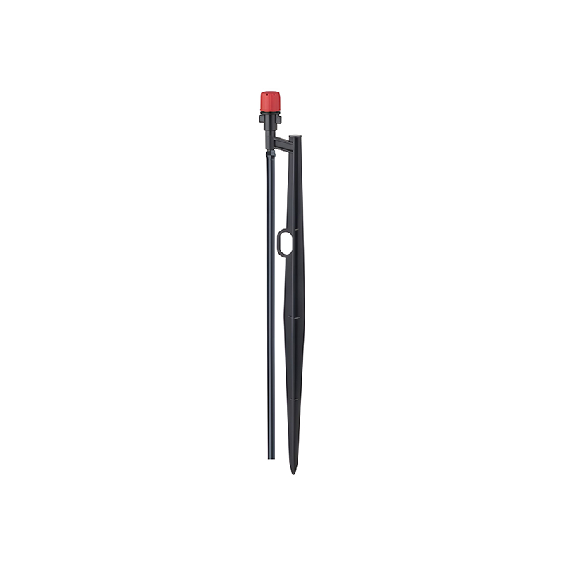 DC-M92 octo-foramina Rectus Type Novifacta O