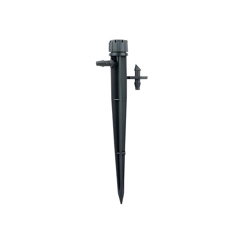DC-M92 octo-foramina Rectus Type Novifacta O